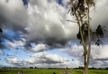 手机虎扑官网：法尔克：拜仁对谢什科展现出了浓厚兴趣，埃贝尔非常看好他.