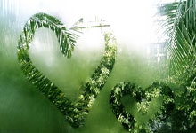 手机虎扑官网：B费：去年夏天收到了离队邀请，当时和曼联以及滕哈赫进行了交谈.