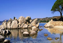 手机虎扑官网：郭嘉璇家属发讣告：爱子不幸离世，将于月日举行追思仪式.